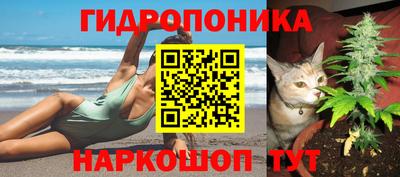 гашик Бузулук