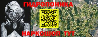 дурь Будённовск