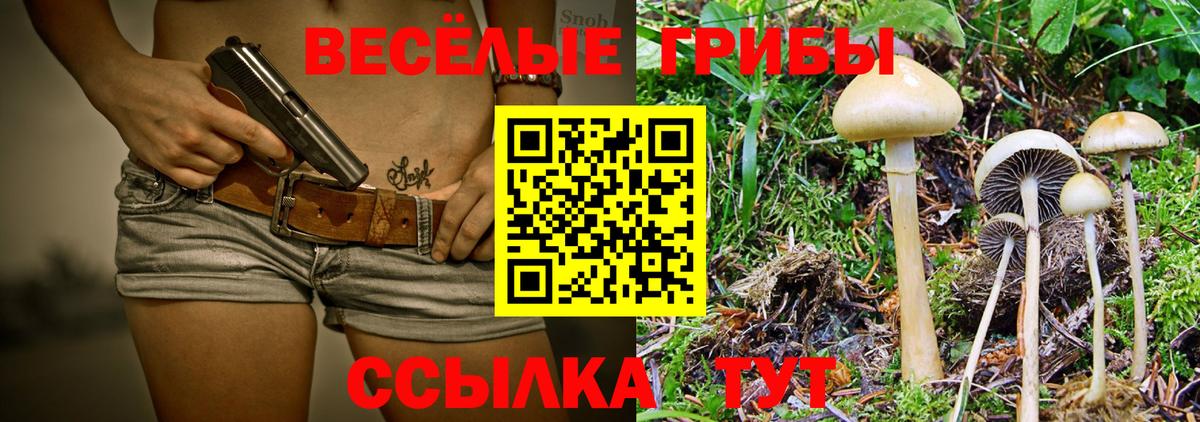 Псилоцибиновые грибы GOLDEN TEACHER Костомукша
