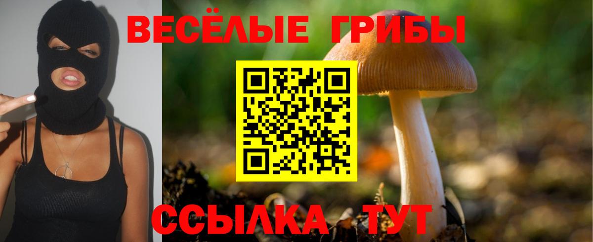 Костомукша  Псилоцибиновые грибы GOLDEN TEACHER  Вход с VPN  Галлюциногенные грибы Psilocybine cubensis 